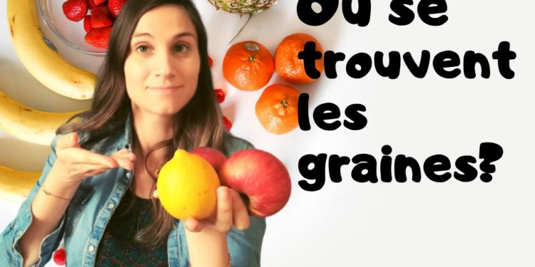 Où Trouve-t-on des renards ?