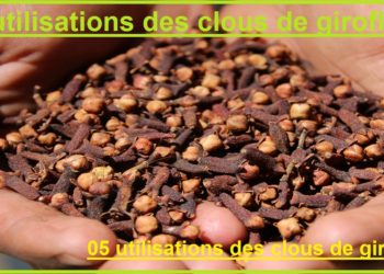 Comment traiter la mauvaise haleine avec le clou de girofle ?