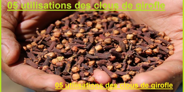 Comment traiter la mauvaise haleine avec le clou de girofle ?