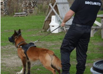 Comment devenir maitre chien dans la sécurité civile ?