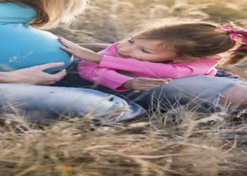 Comment le serpent tombe enceinte ?