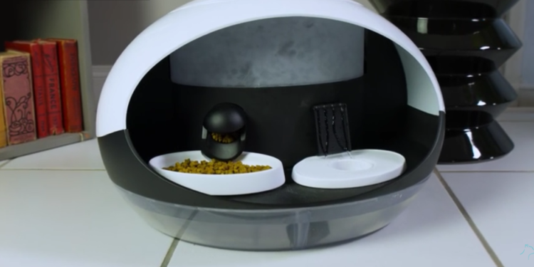 Est-ce qu'un chat peut partir plusieurs jours ?