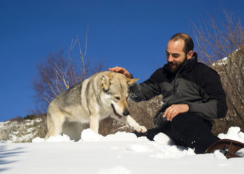 Est-il possible d'apprivoiser un merle ?
