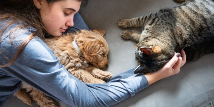 Quels sont les risques de dormir avec un chat ?