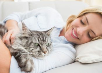 Comment calmer un hamster la nuit ?