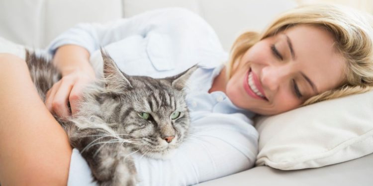 Comment calmer un hamster la nuit ?