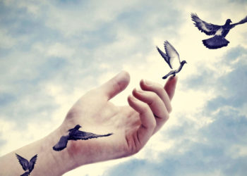 Comment faire lâcher un pitbull ?