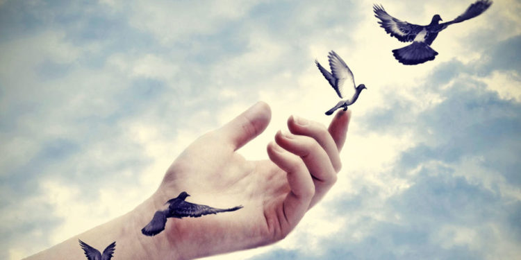 Comment faire lâcher un pitbull ?