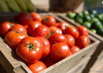 Pourquoi mettre les piles au frigo ?
