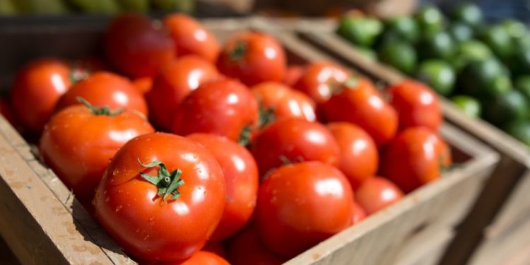 Pourquoi mettre les piles au frigo ?