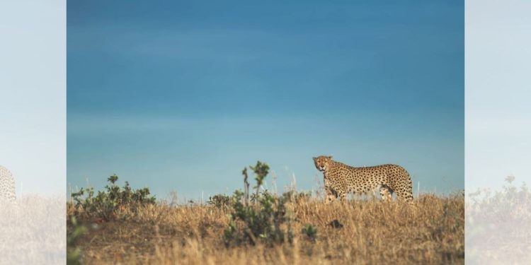 Quel est le laxatif le plus rapide ?