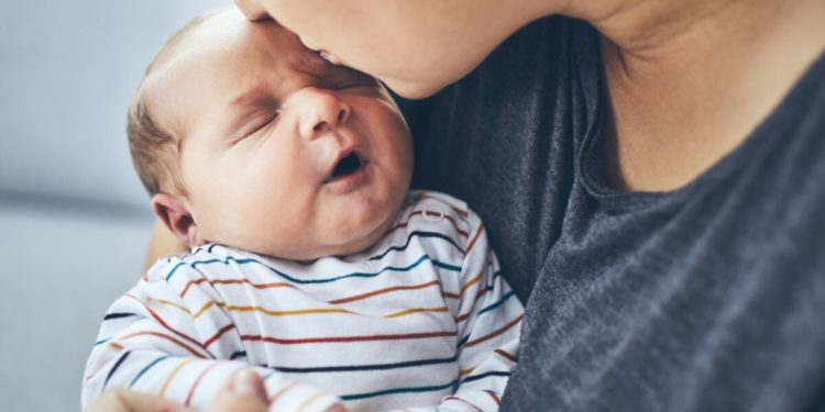 Quand s'inquiéter vomissement chat ?