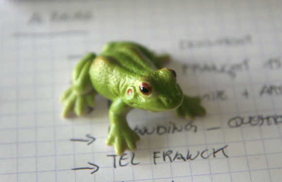 Quand on voit un crapaud ?