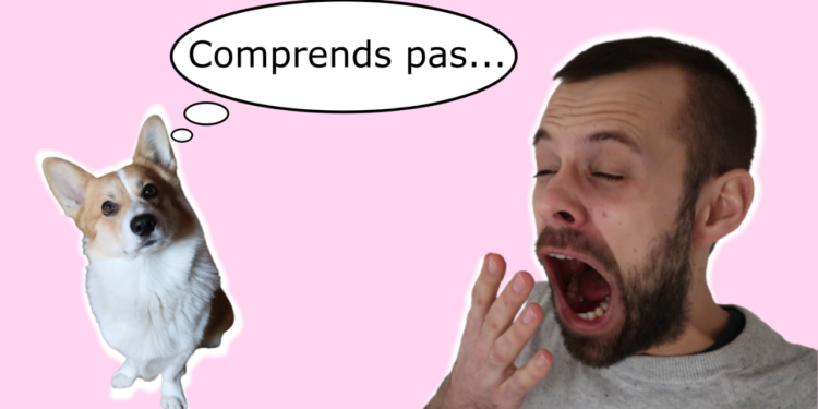 Est-ce que mon chien me comprend quand je lui parle ?