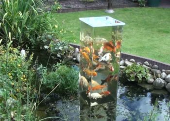 Comment faire un aquarium pour poisson ?