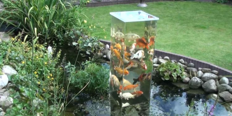 Comment faire un aquarium pour poisson ?