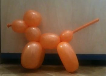 Comment faire un ballon en forme de chien ?
