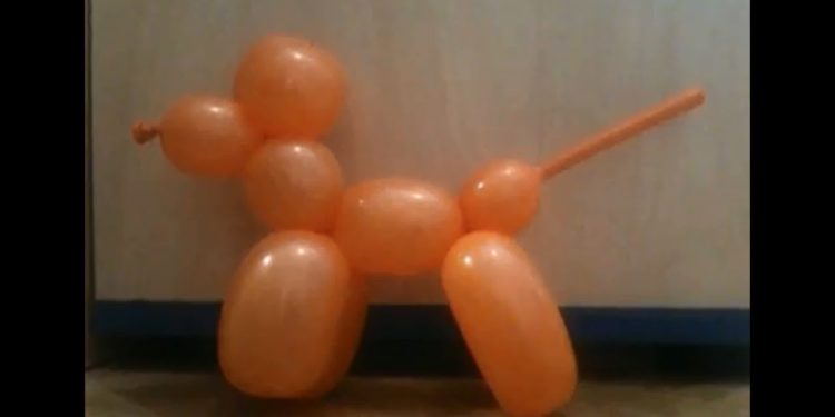 Comment faire un ballon en forme de chien ?