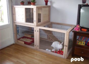 Comment fabriquer une cage à lapin extérieur ?
