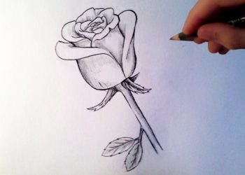 Comment dessiner une Tope ?