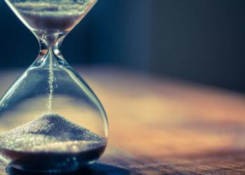 Quelle est la durée de vie d'une crevette ?