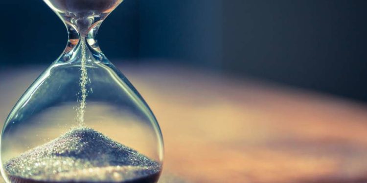 Quelle est la durée de vie d'une crevette ?