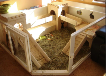 Comment fabriquer une cabane pour lapin facile ?