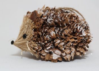 Comment faire un hérisson avec une pomme de pin ?
