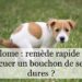 Comment évacuer un bouchon de selles naturellement ?