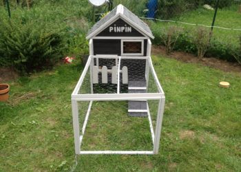Comment fabriquer une petite maison pour cochon d'Inde ?