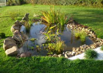 Comment faire Soi-même un bassin de jardin ?