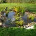 Comment faire Soi-même un bassin de jardin ?
