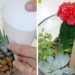 Comment faire un terrarium succulente ?