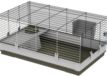 Où trouver cage à lapin ?