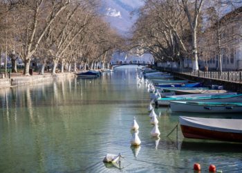 Où vit la lamproie ?