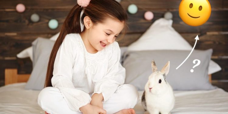 Comment savoir si le lapin est heureux ?