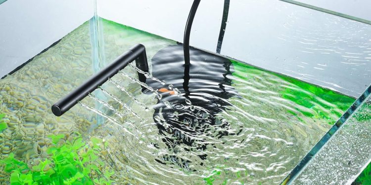 Comment oxygéner eau de mer sans pompe ?