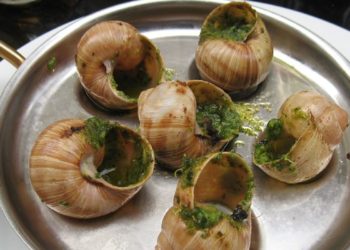 Où mettre les escargots ?