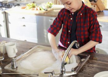 Comment garder une chenille à la maison ?