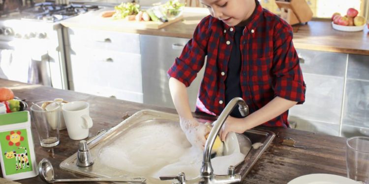 Comment garder une chenille à la maison ?