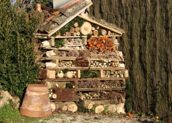 Où mettre une maison à coccinelle ?