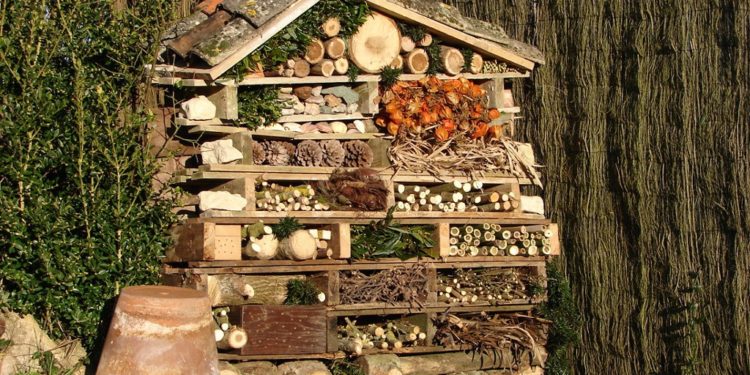 Où mettre une maison à coccinelle ?