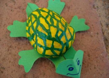 Comment faire grandir une tortue ?