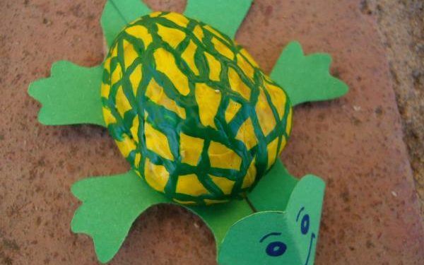 Comment faire grandir une tortue ?