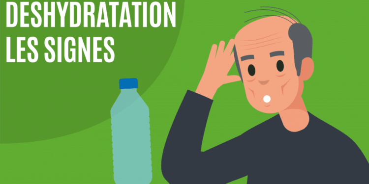 Quels sont les signes de la leishmaniose ?