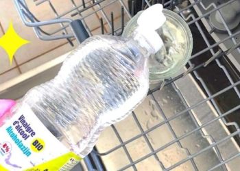 Comment nettoyer un chat qui pue ?