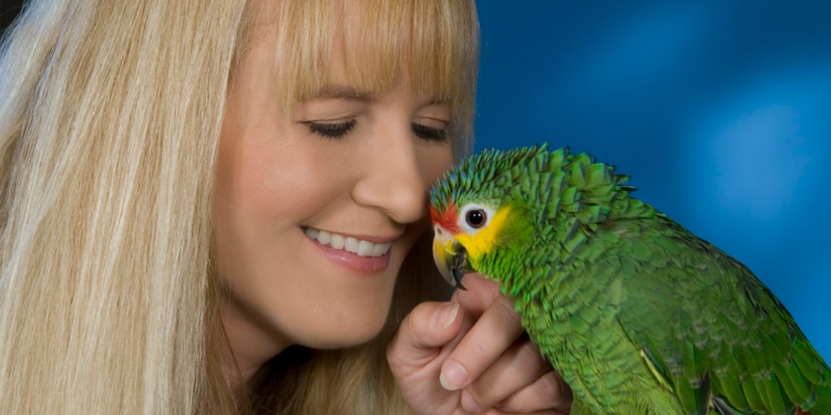 Comment stimuler un perroquet ?