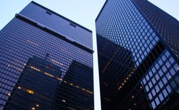 Quel est le développement d'une grenouille ?