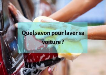 Quel savon utiliser pour laver un chien ?