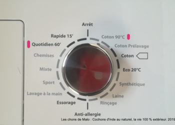 Quel savon utiliser pour laver un cochon d'Inde ?